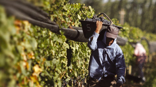 El Seguro Agrícola ya transfirió $181 millones a más de 2 mil productores mendocinos
