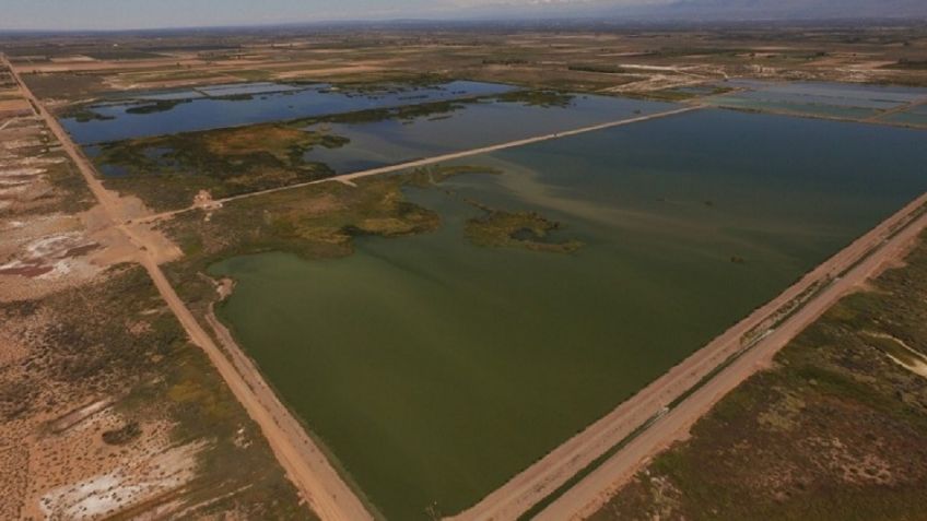 Aguas residuales: a través de las heces pueden determinar los focos de infección