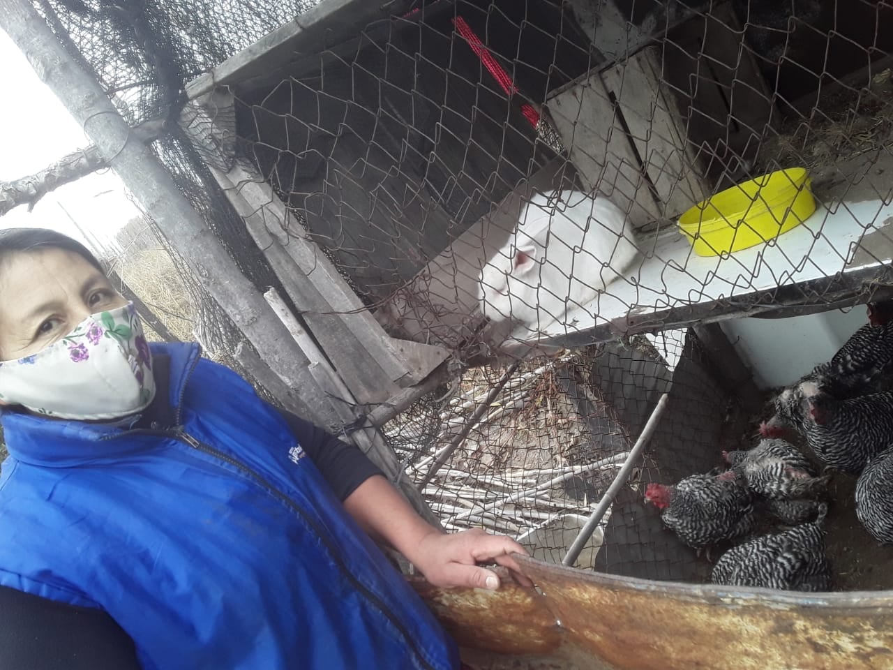 Entregaron animales de granja a comedores y merenderos  de San Rafael