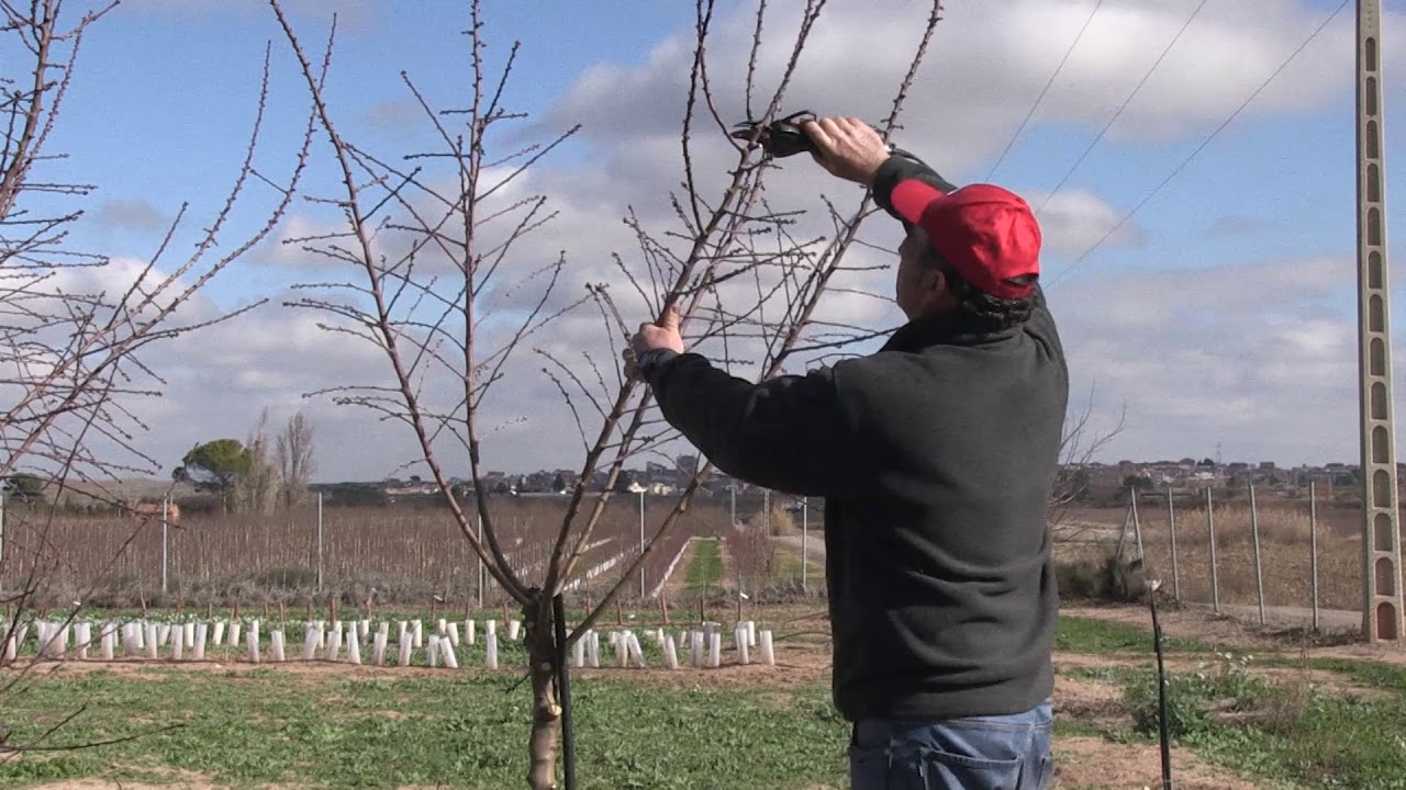 El Ministerio de Economía participó  de la Semana de la Vinculación  Tecnológica de la UNCuyo