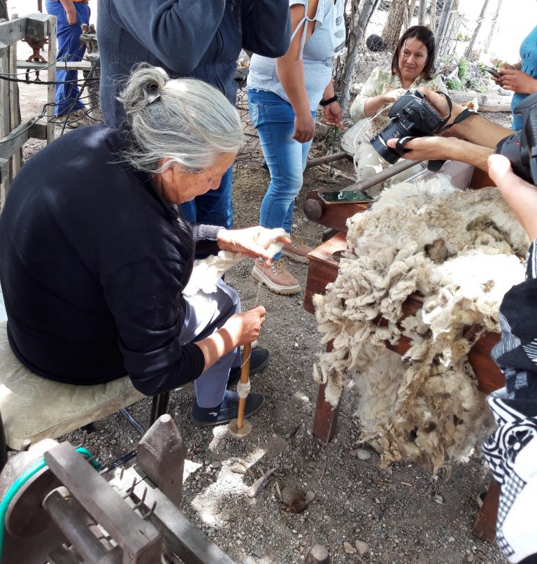 Lana sanrafaelina  para tejedoras  huarpes de Lavalle