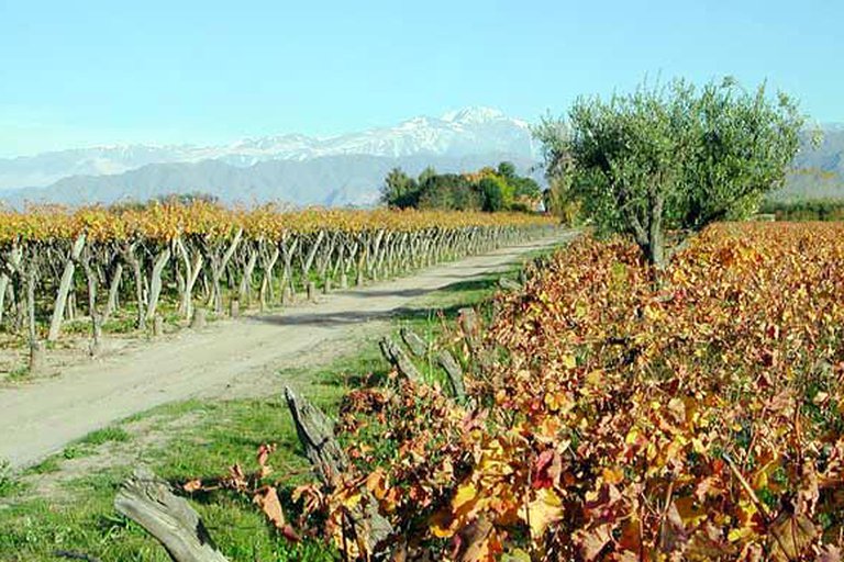 Vacaciones de invierno: las provincias ya preparan planes para atraer al turismo a pesar de que aún falta la confirmación del Gobierno nacional
