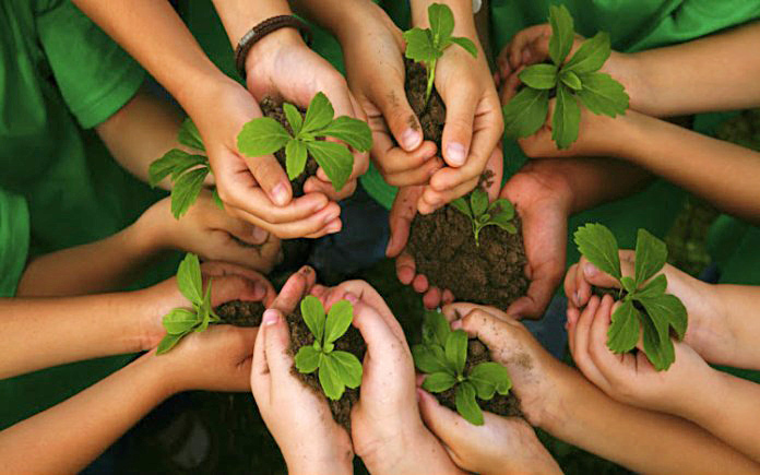 Buscan que Mendoza adhiera a la Ley Nacional de Educación Ambiental