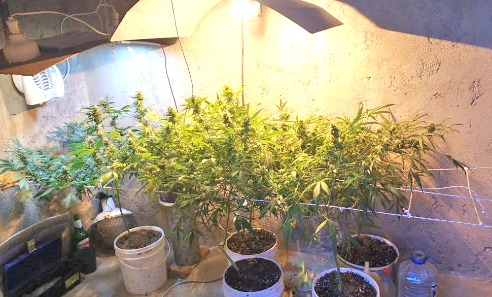 La Policía informó sobre los hechos de narcocriminalidad  de los últimos días