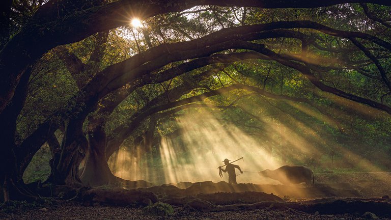 China creó una ciudad falsa para turistas: así es Xiapu, la mentira más grande de Instagram