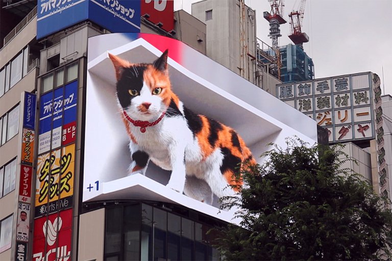 Cuál es el “truco” en el gato gigante 3D que está en Japón