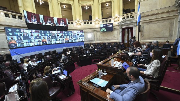 Dictamen en el Senado para la ley de cannabis medicinal