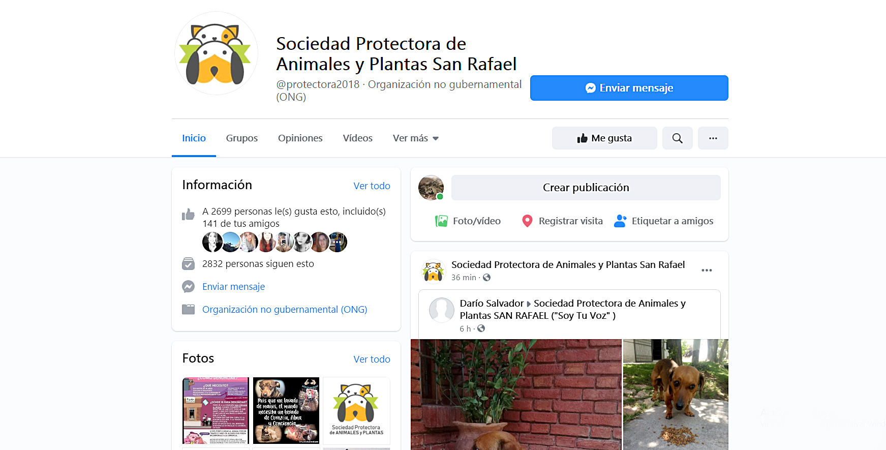 La Sociedad Protectora de Animales  debe más de $250 mil en veterinarias  y necesita ayuda
