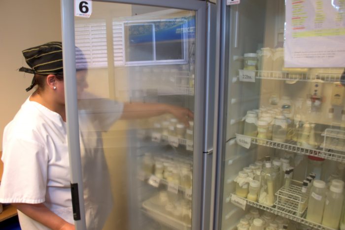Leche Humana: 10 mil litros en 10 años