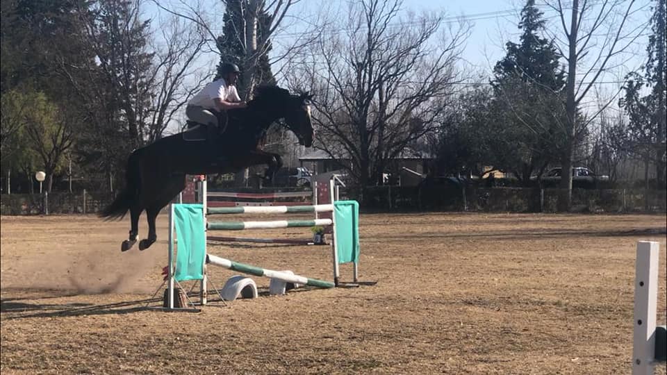En el Club Ecuestre el Diamante se desarrolló un nuevo concurso de saltos variados