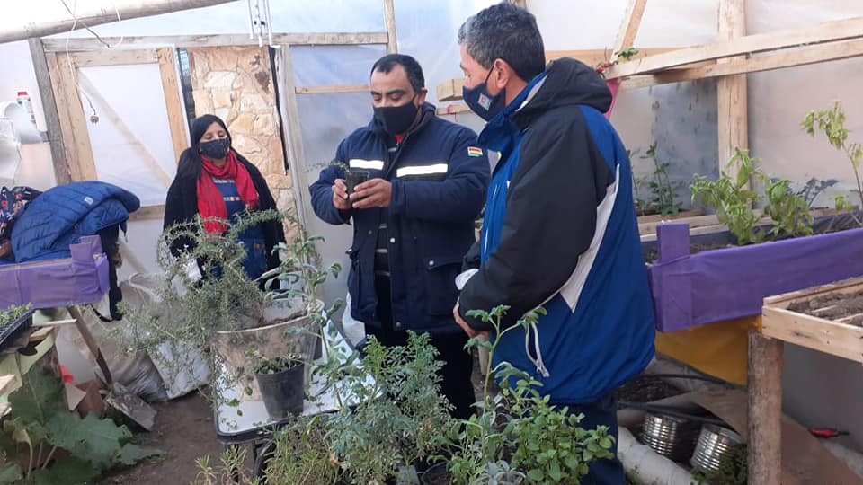 Capacitan a jardines en plantas aromáticas para que puedan entregarlas a la comunidad