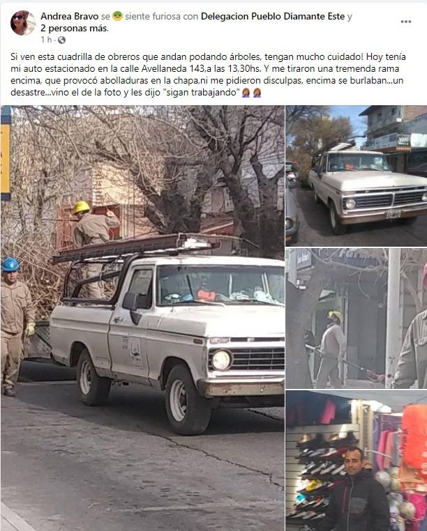 Denuncia que cuadrilla  de podadores le arrojó una rama de gran tamaño sobre su auto