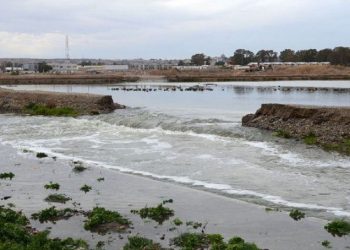 Como en la película de Los Simpsons:  en Neuquén taparon un arroyo con basura