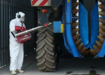 Con fondos propios, Mendoza continuará el control y erradicación de la polilla de la vid