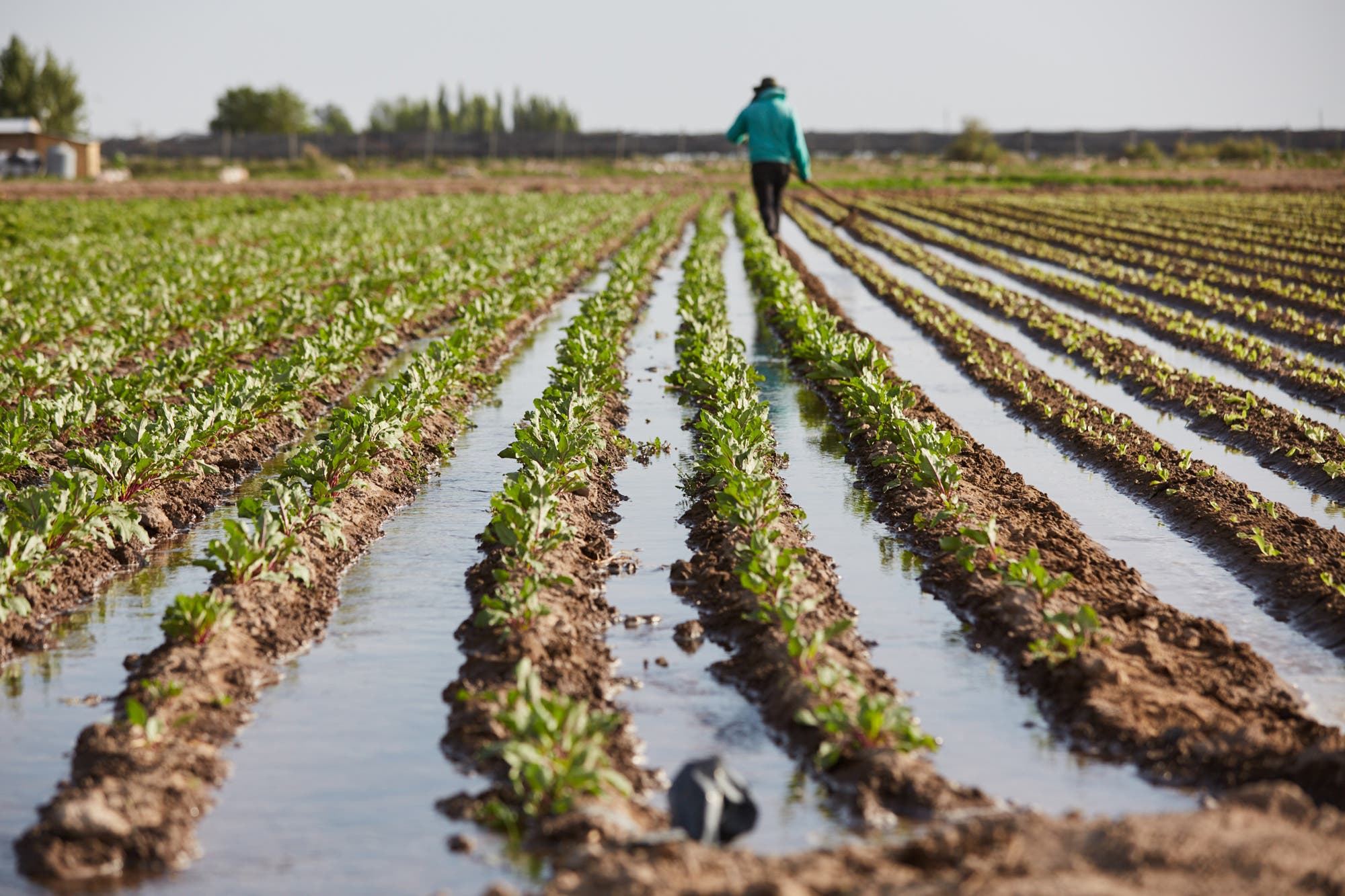 Crisis hídrica: se requiere  un “plan de inversión”