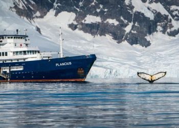 El Gobierno habilitó la reapertura de turismo en cruceros bioceánicos y antárticos