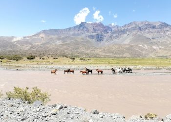 Destacan la incorporación de 138 mil hectáreas de  El Sosneado al corredor biológico de Alta Montaña