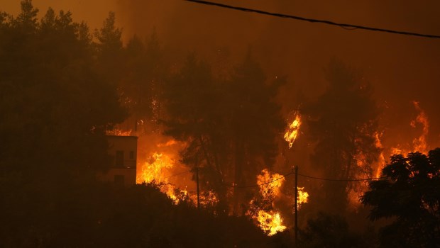 El fuego continúa sin control en Grecia y ya consumió más de 70 mil hectáreas