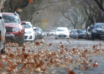 El Zonda causó importantes daños en el Gran Mendoza: Mirá las fotos y los videos