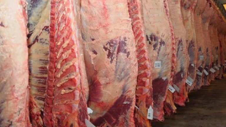 Ganancia para vecinos: las exportaciones de carne de Uruguay y Paraguay alcanzaron un nuevo récord mientras la Argentina traba las ventas al exterior