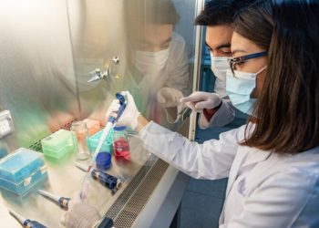 Investigadores de la UNCuyo lograron aislar, expandir y congelar células madre del ligamento periodontal