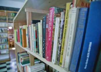 Bibliotecas mendocinasrecibieron Cajas Lambedonadas por escritores