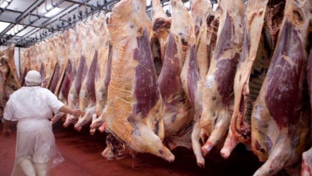 Por las restricciones, Argentina perdería unos US$1.100 en exportaciones de carne
