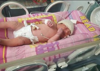 Buenos Aires: Rescataron a una beba recién nacida de una bolsa de basura cuando iba a ser compactada