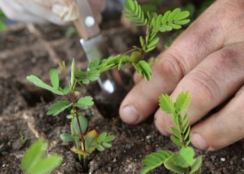 Brindarán un curso de agroecología a estudiantes de San Rafael y General Alvear