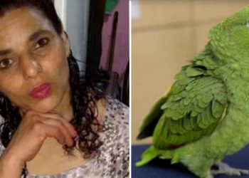 «Ay no, por favor soltame», la frase del loro de una mujer que ayudó a esclarecer que fue víctima de un femicidio