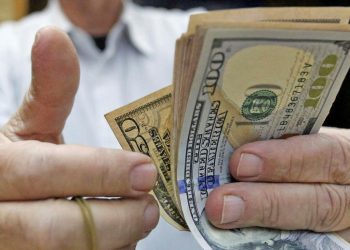 Crisis política: “El Banco Central va a tratar de mantener el dólar oficial estable”