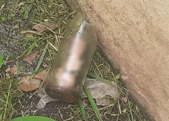 Hallazgo macabro: un jardinero encontró un pene adentro de un frasco cuando cortaba el pasto en una casa