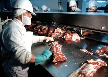 Hay preocupación en Mendoza por el cierre de las exportaciones de carne