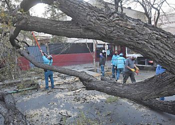 Las consecuencias del viento Zonda que atravesó la provincia el fin de semana