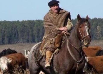 Los trabajadores rurales temporales cobrarán salario y plan social hasta seis meses