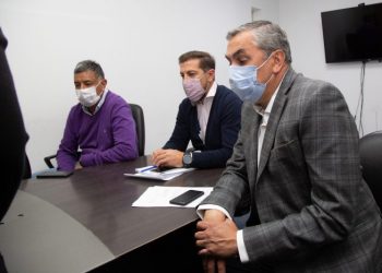 Polilla de la vid: Mendoza licitó insumos y servicios para el control de la plaga con fondos propios