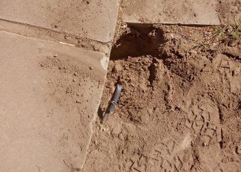 Preocupante acto de vandalismo en la plaza de La Llave