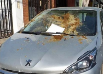 Relatos Salvajes: cansado de que estacionen frente a su garaje, vecino tomó una medida drástica