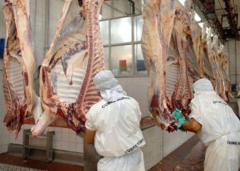 Restricciones a las exportaciones de carne: “No se han conseguido resultados positivos”