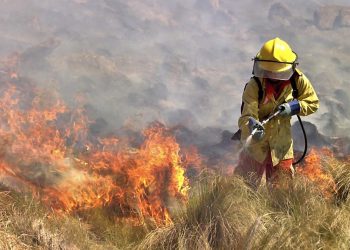 Solicitan el pase a planta permanente de brigadistas de General Alvear y San Rafael