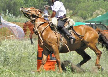 Todo listo para el 10° Regional de Destrezas Criollas de la Federación Gaucha