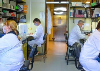 Tuvo buenos resultados la vacuna argentina contra el coronavirus