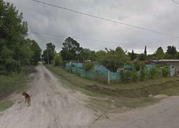 Una mujer asesinó a su hijo e hirió a su hija: “Un pájaro me dijo que los mate y me mate”