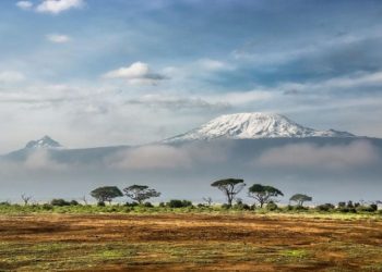 Advierten que África puede perder sus glaciares en 2040