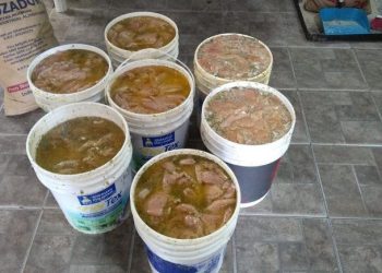 Asco: guardaban pechugas en baldes de pintura