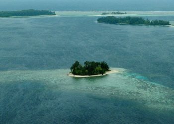 De película: dos hombres sobrevivieron casi un mes en un barco en el Pacífico tomando agua de lluvia y comiendo cocos