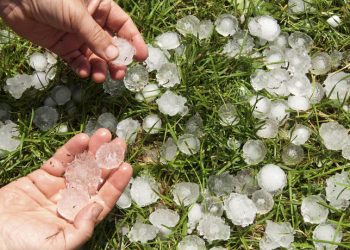 El sur de Las Malvinas registró el primer granizo en zona cultivada de la temporada
