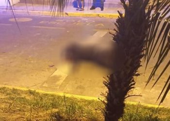 Intentaron robarle su camioneta y se defendió: mató a uno de los delincuentes