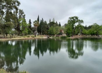 La laguna del parque Mariano Moreno ya luce en todo su esplendor