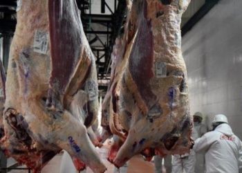 Las exportaciones de carne crecieron casi 25% en septiembre